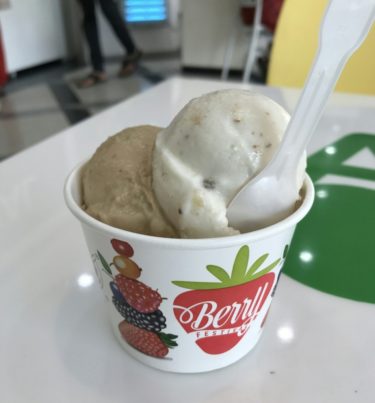 インドの絶品アイスクリーム店・NATURALS